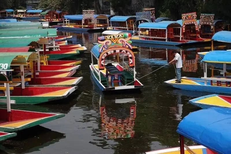 Una pelea campal en las trajineras de Xochimilco se hizo viral Una pelea campal en las trajineras de Xochimilco se hizo viral