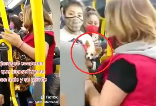 Pasajeros del metrobús cooperan para que mujer y su perro se vayan en taxi