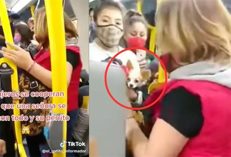 Pasajeros del metrob&uacute;s cooperan para que mujer y su perro se vayan en taxi