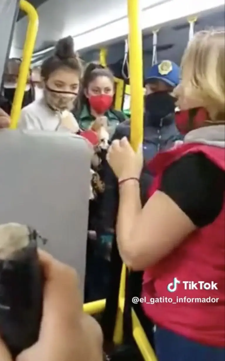 Créditos: Tik Tok (@el_gatito_informador)