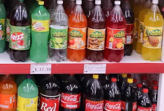 Profeco retira Jarritos y otros ocho refrescos por tener leyendas falsas.