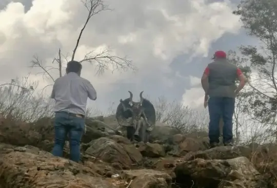 En el lugar había huellas de santería y animales sacrificados