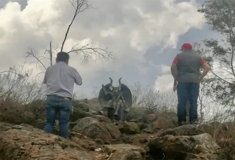 En el lugar había huellas de santería y animales sacrificados En el lugar había huellas de santería y animales sacrificados
