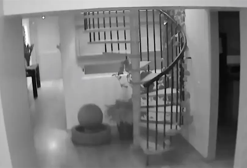 VIDEOS: as&iacute; se vivi&oacute; el sismo del 10 de mayo en la CDMX. 