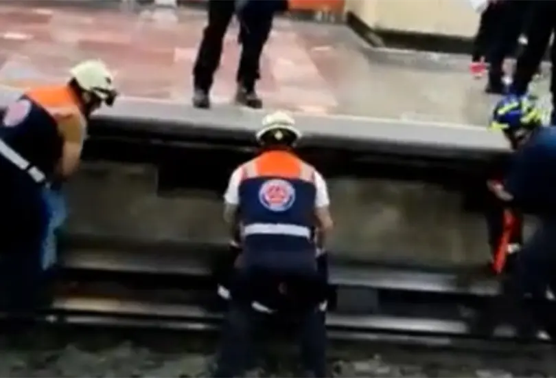 Cae gallina a v&iacute;as del Metro de CDMX