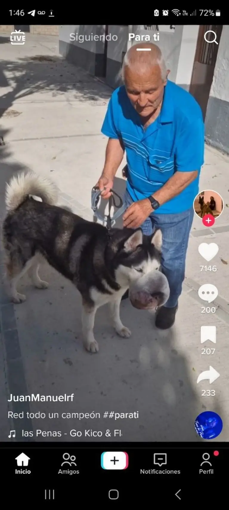 Perrito logra salvarse de tumor gracias a video viral - Tomada de video