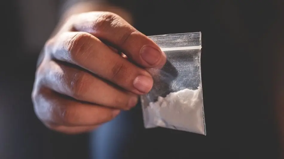 &iquest;Qu&eacute; es la coca&iacute;na y qu&eacute; efectos causa a largo plazo? 