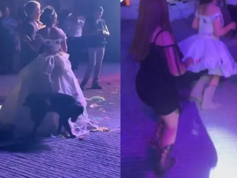 La quinceañera no se dio cuenta que el perro la orinó. Foto: especial.