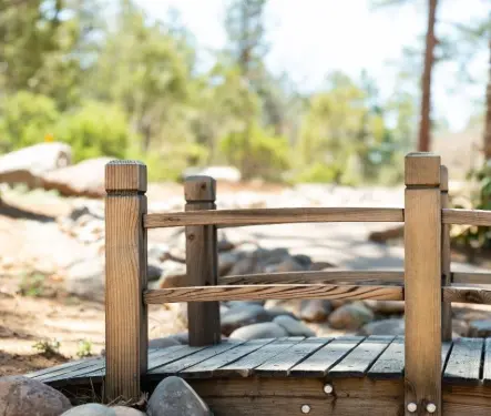 Inclusión y accesibilidad: ¿cuál es cuál?