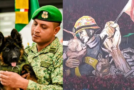 Turquía dona cachorro a México por muerte de Proteo, el perro rescatista. Turquía dona cachorro a México por muerte de Proteo, el perro rescatista.