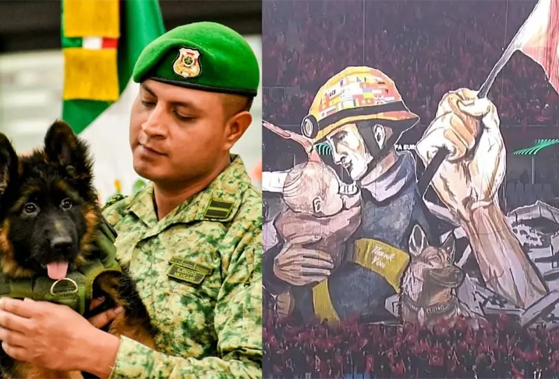 Turqu&iacute;a dona cachorro a M&eacute;xico por muerte de Proteo, el perro rescatista. 
