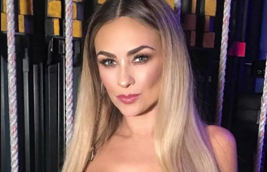 Así ha cambiado Aracely Arámbula a lo largo de su carrera.