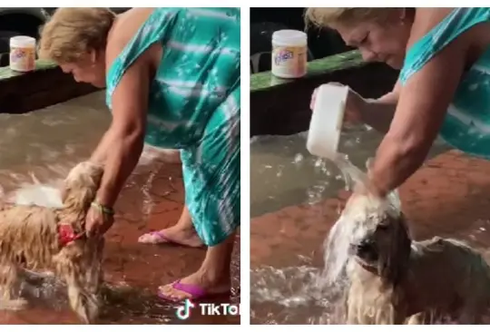 Mujer baña a su perro con agua de lluvia Mujer baña a su perro con agua de lluvia