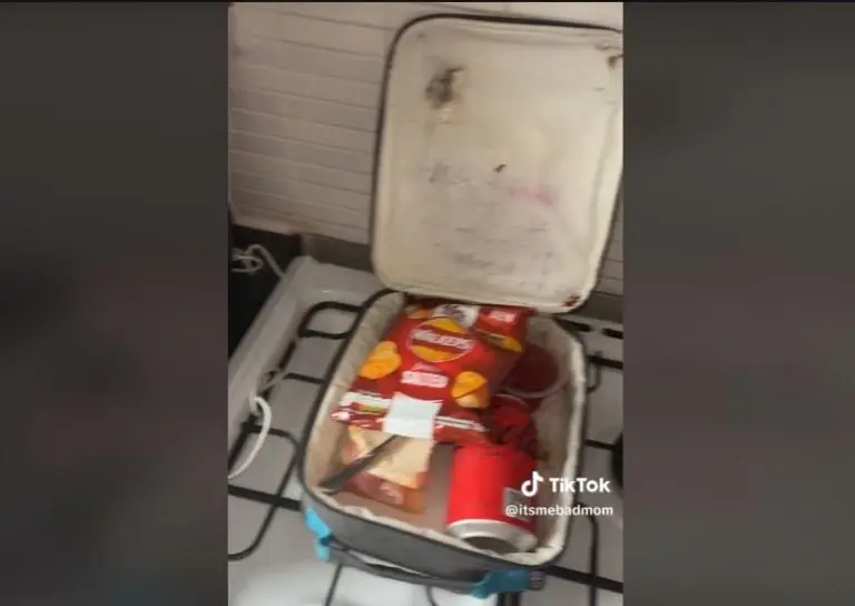 Critican a mamá por el lunch de su hijo (TikTok)