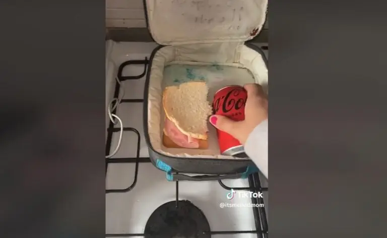 Critican a mamá por el lunch de su hijo (TikTok)