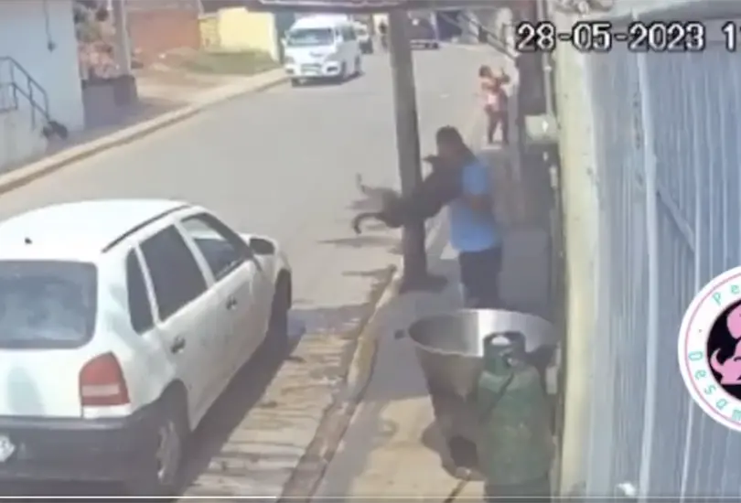 Buscan a hombre que lanz&oacute; a perro a cazuela con aceite hirviendo. 
