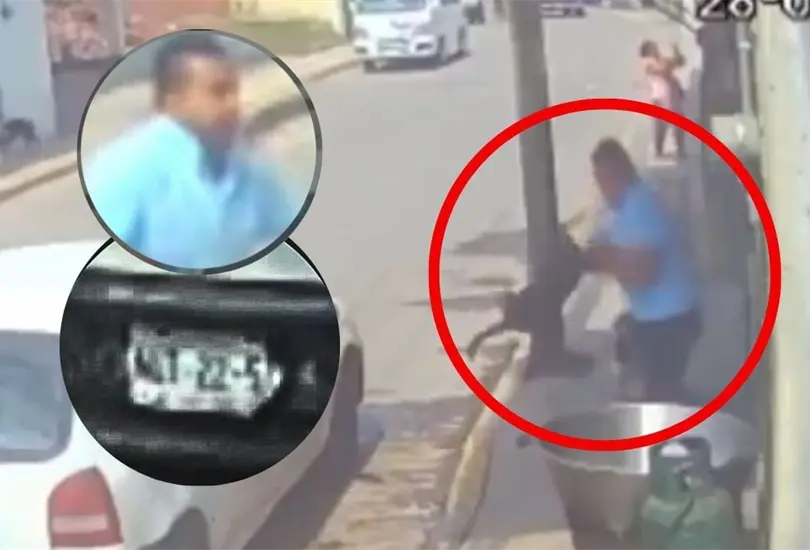 Esta es la condena que darían a hombre que lanzó a perro a cazuela con aceite hirviendo Esta es la condena que darían a hombre que lanzó a perro a cazuela con aceite hirviendo