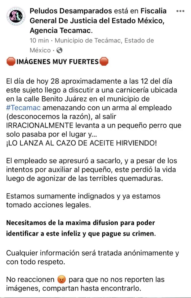 Créditos: Peludos Desamparados