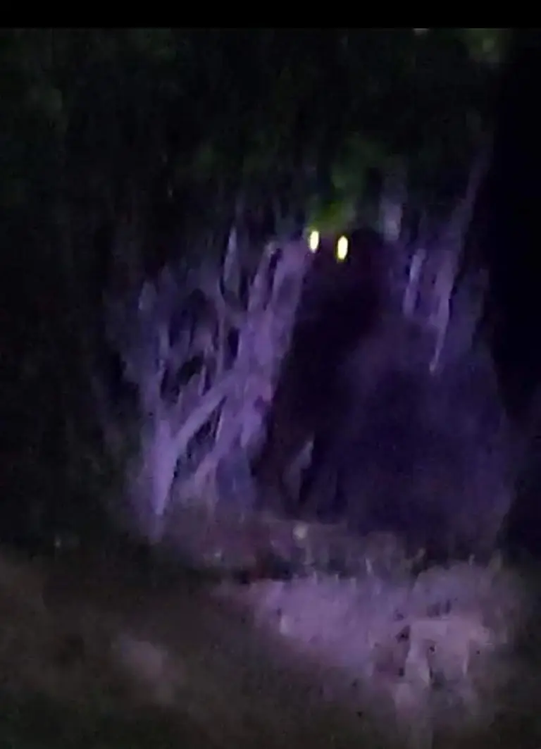 Créditos: Ayuntamiento Villa de Tezontepec