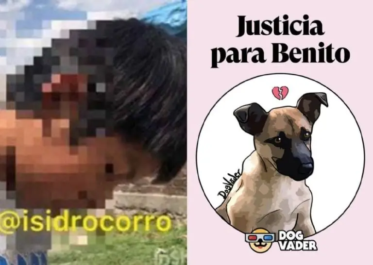 Créditos: Twitter (@isidrocorro)