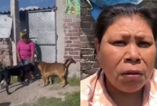 Familia de Scooby, el perro lanzado a cazuela con aceite, da su testimonio. 