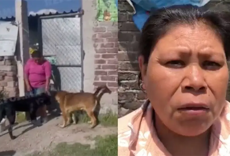 Familia de Scooby, el perro lanzado a cazuela con aceite, da su testimonio. Familia de Scooby, el perro lanzado a cazuela con aceite, da su testimonio.