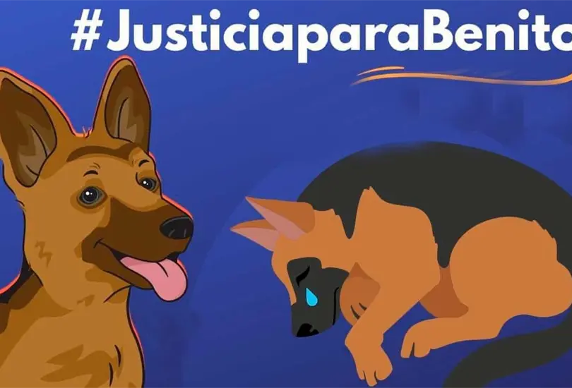 El menor vio como Sergio &acute;N&acute; avent&oacute; a su cachorro al cazo con aceite hirviendo. 