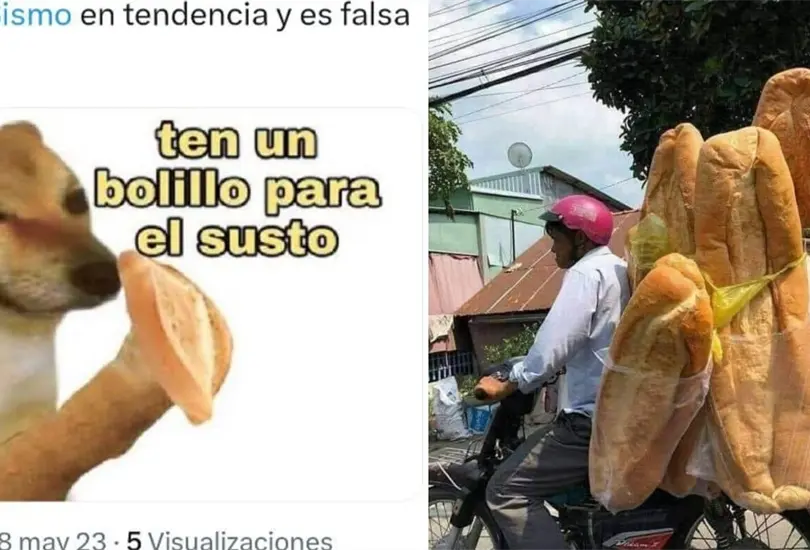 Estos son los mejroes memes por la falsa alerta de sismo en CDMX Estos son los mejroes memes por la falsa alerta de sismo en CDMX