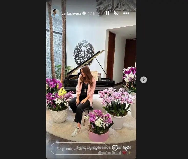 Carlos Rivera sube foto con Cynthia Rodríguez (Instagram)