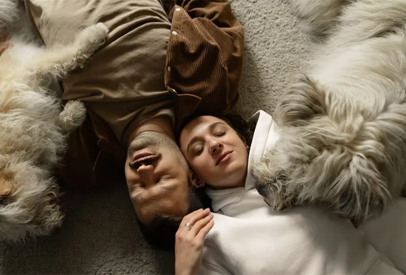 Dormir con tu mascota puede ofrecer una serie de ventajas y desventajas; aquí te comentamos que es lo más recomendable Dormir con tu mascota puede ofrecer una serie de ventajas y desventajas; aquí te comentamos que es lo más recomendable