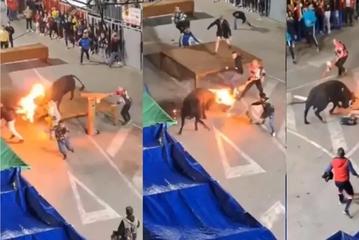Durante una festividad en España, un toro embistió a un hombre que le prendió fuego a sus cuernos Durante una festividad en España, un toro embistió a un hombre que le prendió fuego a sus cuernos