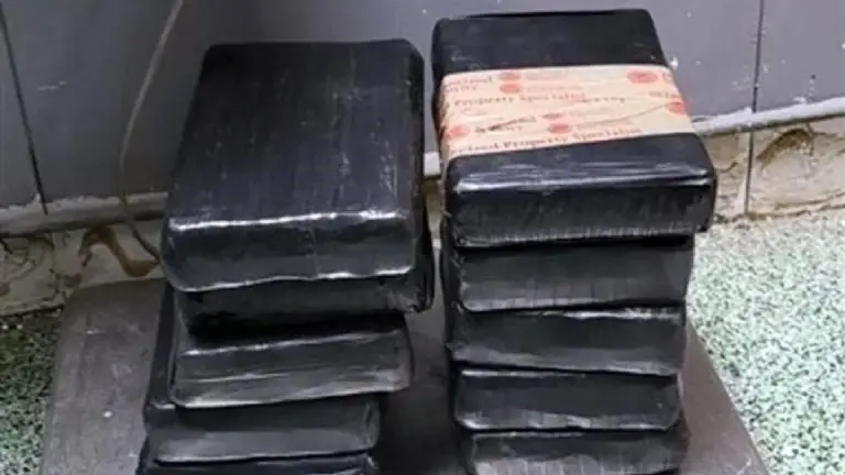 Regidora del PAN es detenida con paquetes de droga. Foto: DEA