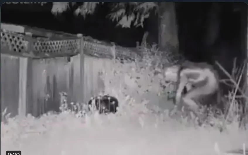 El caso de la familia que llamó al 911 es real, pero el video presentado es falso y lo publicó un oportunista El caso de la familia que llamó al 911 es real, pero el video presentado es falso y lo publicó un oportunista