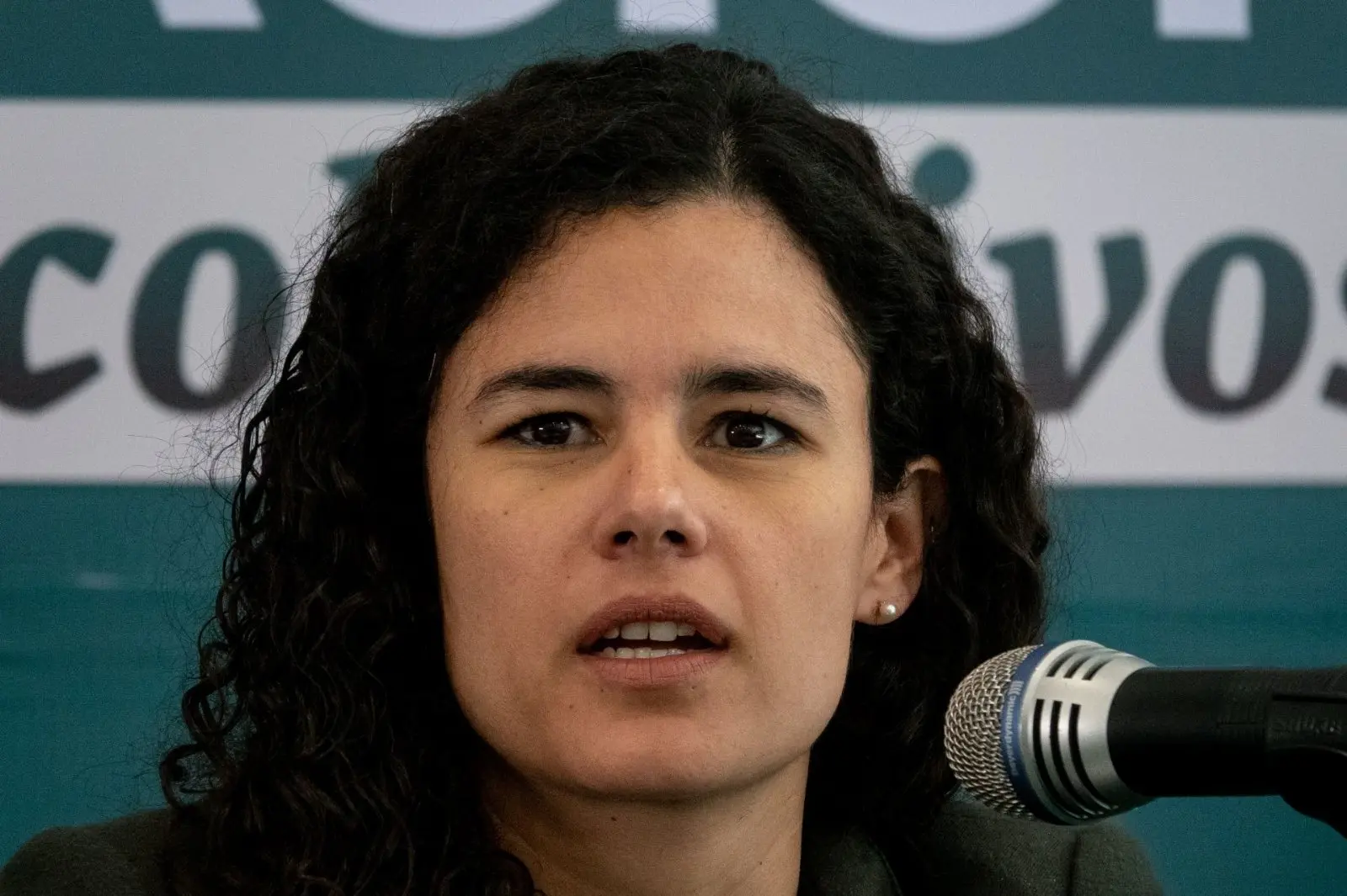 Luisa María Alcalde, presidenta de Morena. Especial