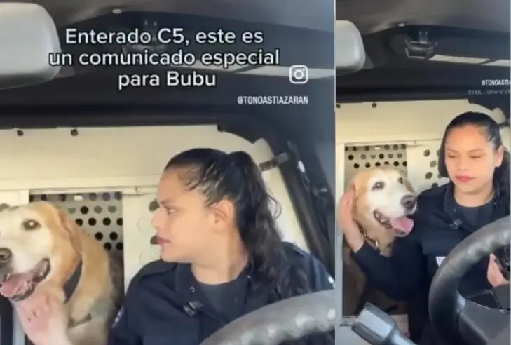 Bubu se jubiló tras prestar un servicio de 9 años a la policía Bubu se jubiló tras prestar un servicio de 9 años a la policía