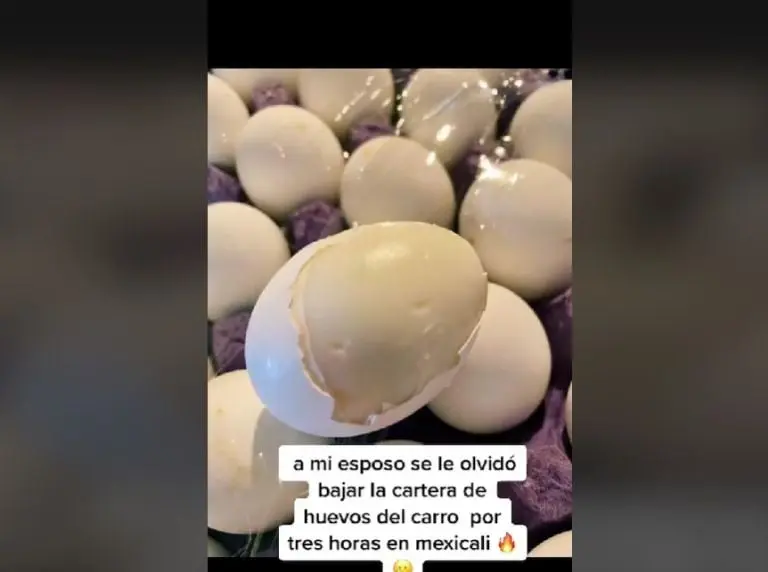 Se cocinan huevos en el auto (TikTok)