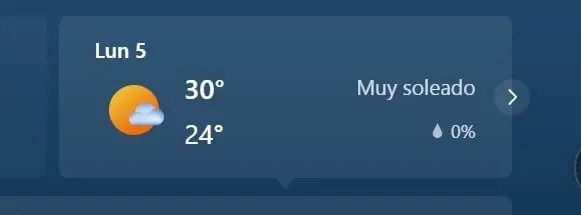 PUERTO VALLARTA MAX 30 MIN 24