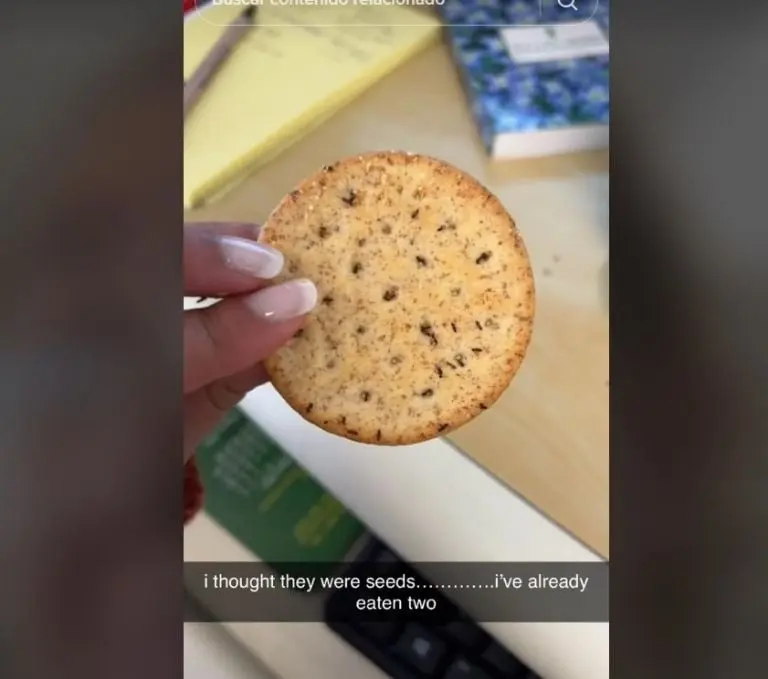 Joven se come galletas con hormigas (TikTok)