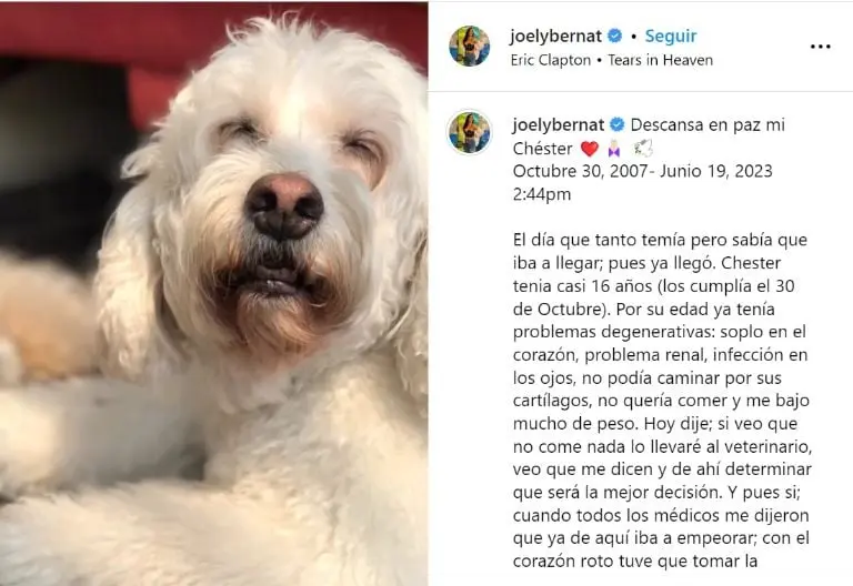 Duermen al perrito de Paul Stanley (Instagram)