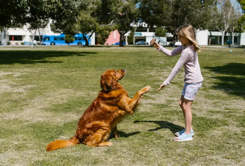 Adoptar una mascota puede ayudar a tu bienestar en general Adoptar una mascota puede ayudar a tu bienestar en general