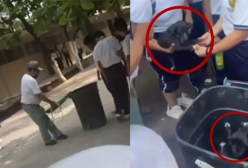 El caso de maltrato animal fue denunciado por la Fundaci&oacute;n Toby. 