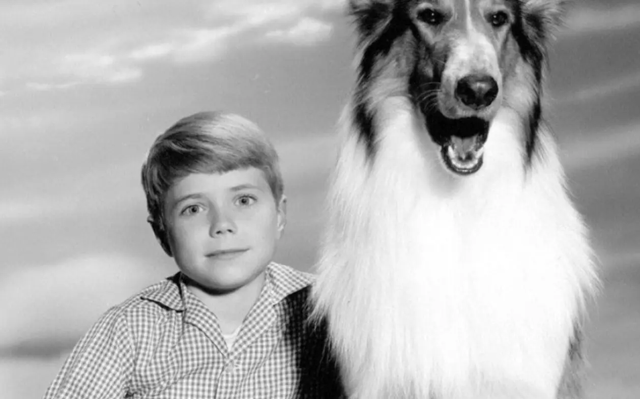 Lassie