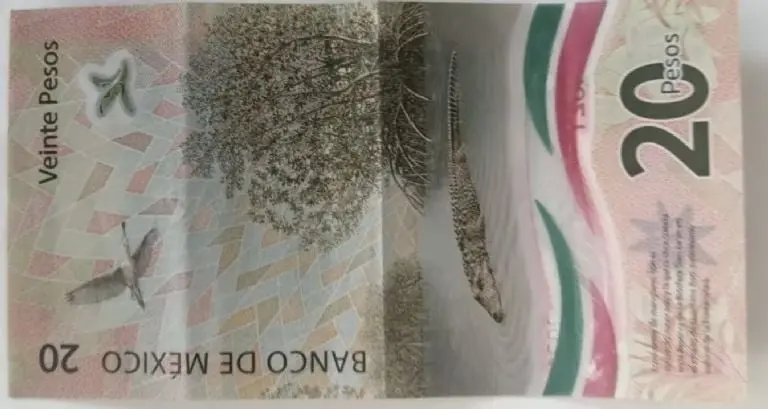 Billete de 20 pesos con la palabra AMLO. Créditos: Mercado Libre
