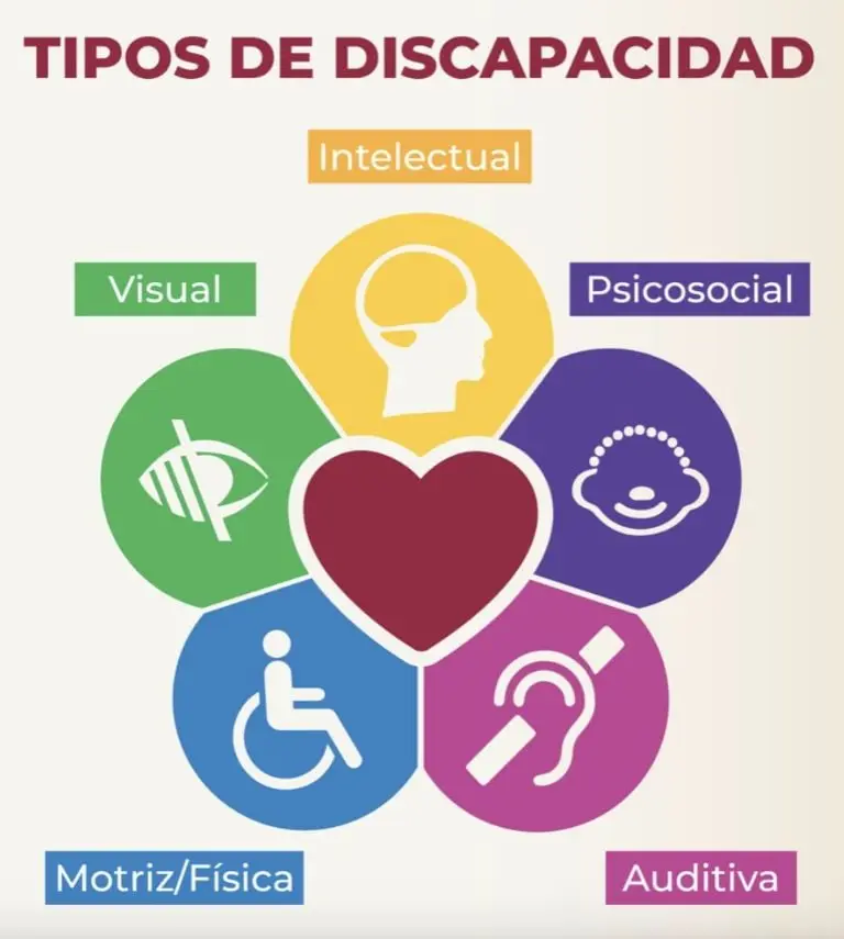 Tipos de discapacidad. Créditos: Bienestar