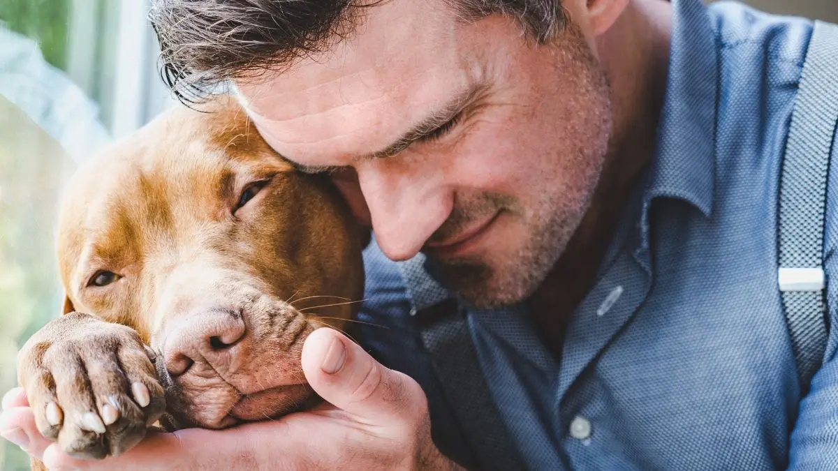  Cuida a tus mascotas y bríndales una buena calidad de vida. 