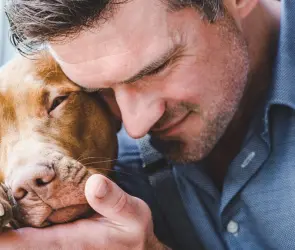 ¿Por qué no debes cortarle las orejas a tu perro?