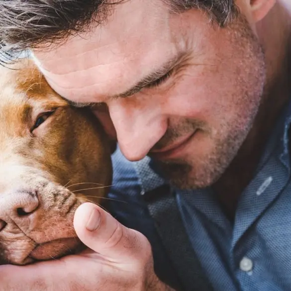 ¿Por qué no debes cortarle las orejas a tu perro?