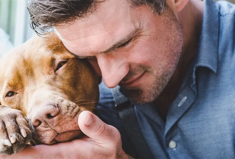 Cuida a tus mascotas y br&iacute;ndales una buena calidad de vida.