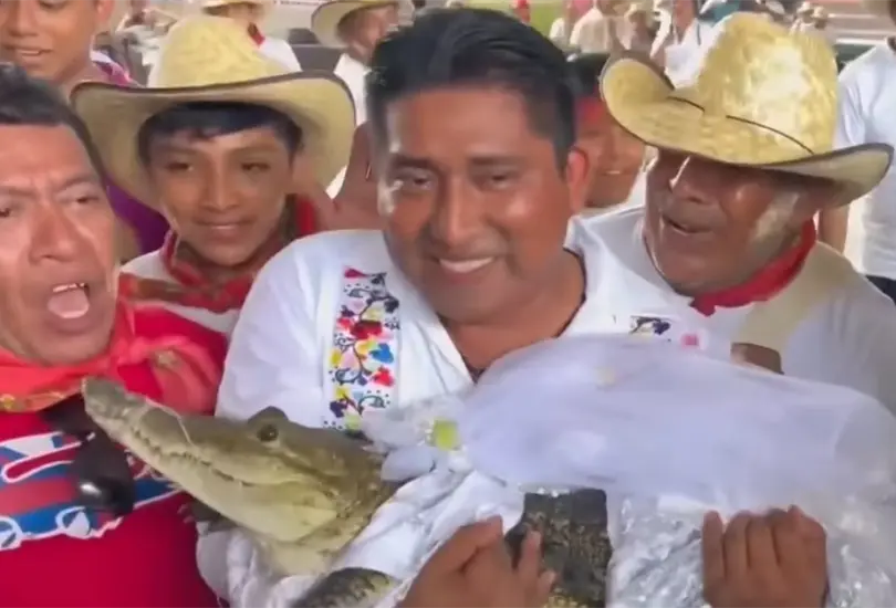 Entre aplausos, baile y besos, el alcalde de San Pedro Huamelula, Oaxaca, V&iacute;ctor Hugo Sosa Garc&iacute;a, se cas&oacute; nuevamente con la princesa Alicia Adriana, encarnada en un lagarto hembra