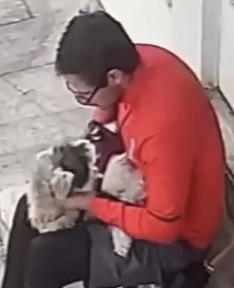 Hombre causa indignación al golpear fuertemente con el puño a su perro. Foto: Twitter